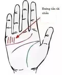 Sở hữu một 1 trong 4 đường chỉ tay sau đây, bạn có muốn nghèo cũng không được-2