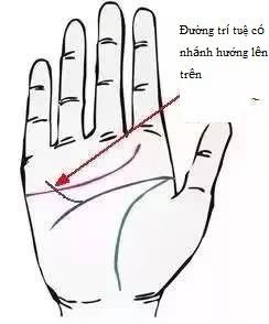 Sở hữu một 1 trong 4 đường chỉ tay sau đây, bạn có muốn nghèo cũng không được-4