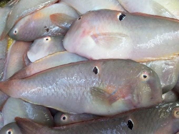 9 loại thực phẩm biến thành chất độc khi quá hạn-3