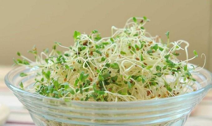 9 loại thực phẩm biến thành chất độc khi quá hạn-5