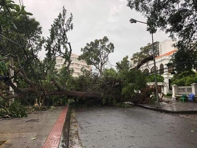 Lan tỏa hình ảnh khách sạn tại Vũng Tàu đón người nghèo tránh bão số 9-5