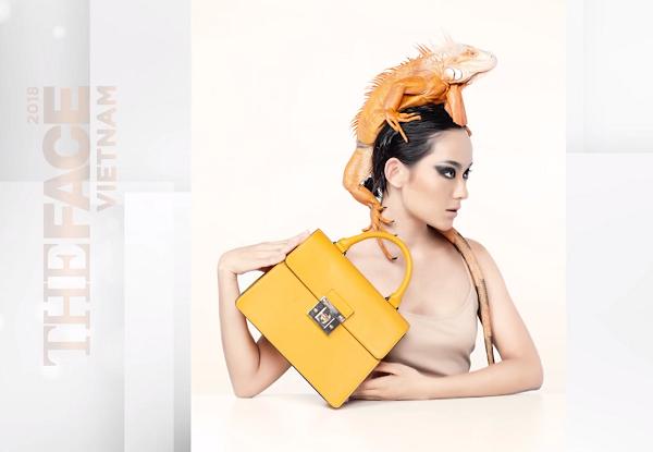 Minh Hằng loại học trò Thanh Hằng, Võ Hoàng Yến nhếch môi: Chờ 2 chị cãi nhau cho hấp dẫn mà chẳng có-2