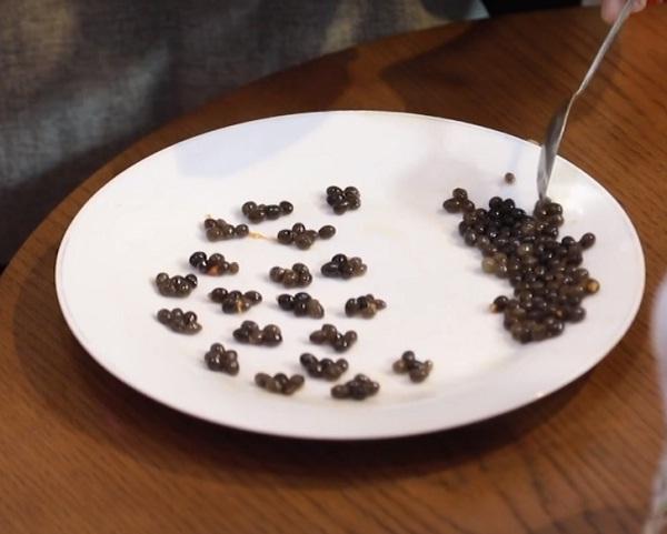 CƯỜI XỈU: Võ Hoàng Yến bắt học trò đếm hạt đu đủ xem ai chẵn ai lẻ trước khi quyết định thí sinh vào hang cọp The Face 2018-5