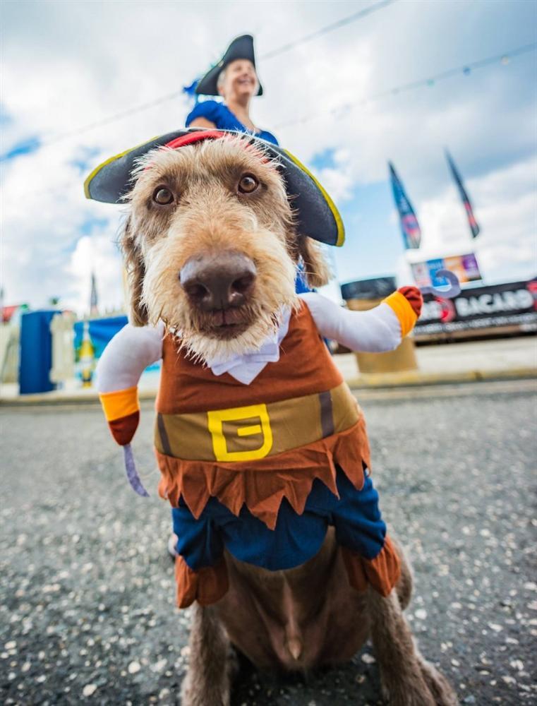 Hóa thân thành cướp biển vùng Carribean ở quần đảo Cayman-10