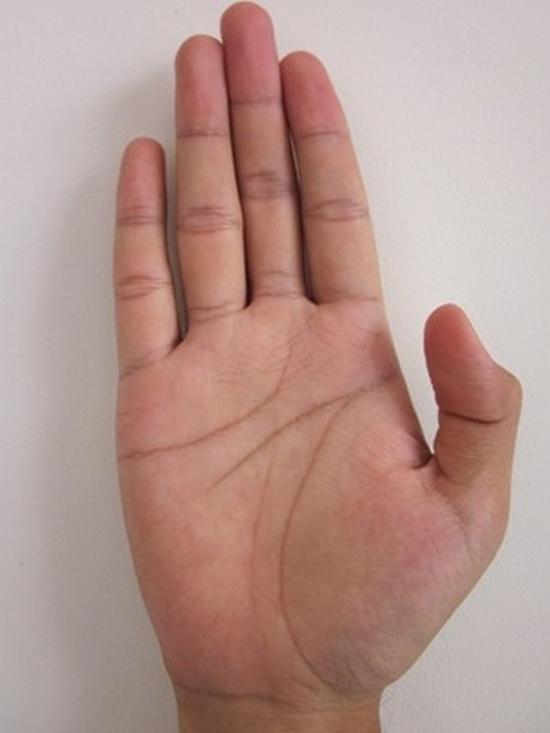 BẠN TIN KHÔNG: Xem chỉ tay để đoán vận mệnh mỗi người cực kỳ chính xác-7