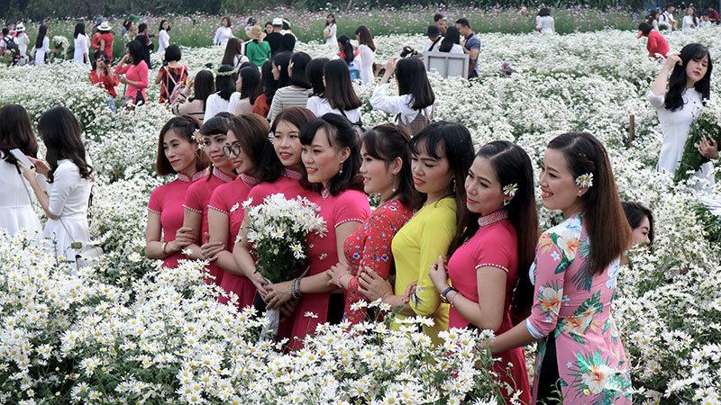 Vườn cúc họa mi thất thủ vì quý cô Hà thành làm điều này-3