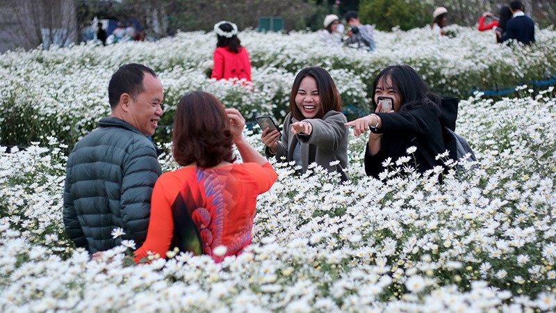 Vườn cúc họa mi thất thủ vì quý cô Hà thành làm điều này-5