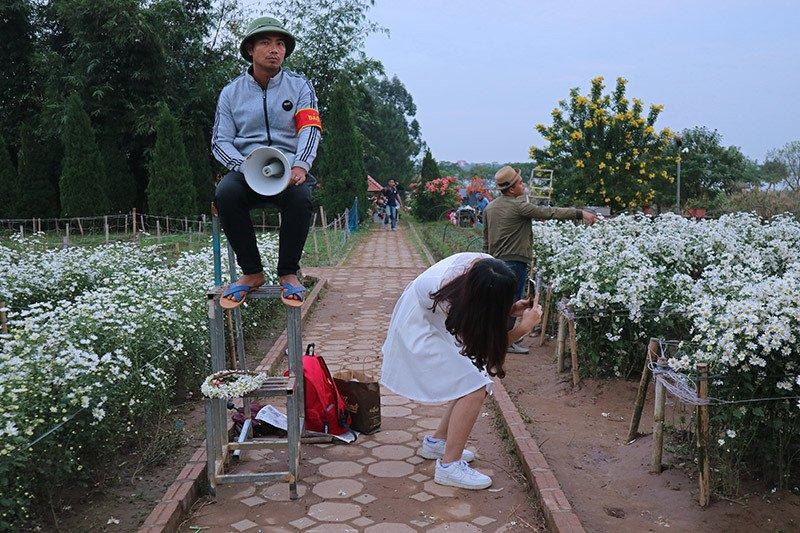 Vườn cúc họa mi thất thủ vì quý cô Hà thành làm điều này-6