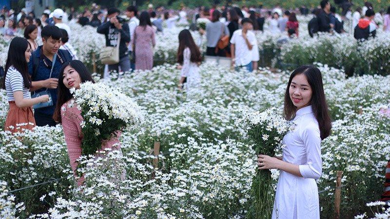 Vườn cúc họa mi thất thủ vì quý cô Hà thành làm điều này-8