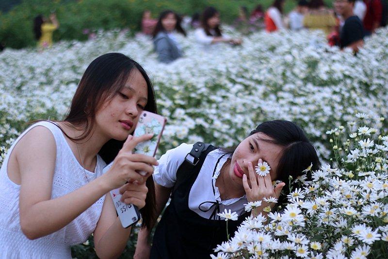 Vườn cúc họa mi thất thủ vì quý cô Hà thành làm điều này-9