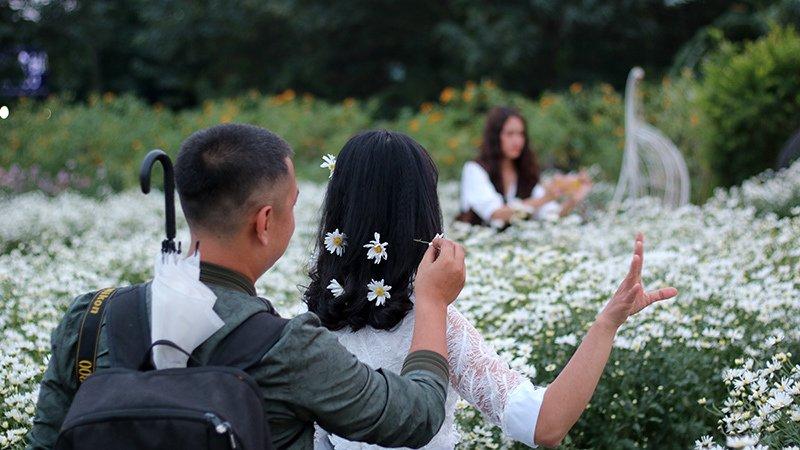 Vườn cúc họa mi thất thủ vì quý cô Hà thành làm điều này-10