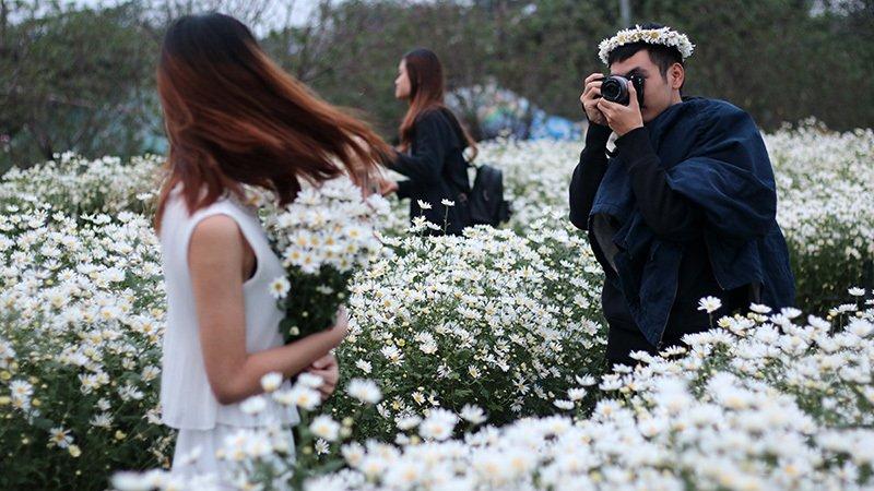 Vườn cúc họa mi thất thủ vì quý cô Hà thành làm điều này-12