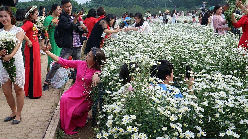 Vườn cúc họa mi thất thủ vì quý cô Hà thành làm điều này-13