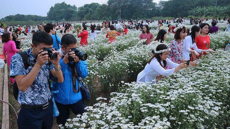 Vườn cúc họa mi thất thủ vì quý cô Hà thành làm điều này-16