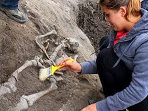 Không ngáo đá vẫn đâm bạn trai vì nghĩ mình là ma cà rồng đi tiêu diệt người sói-3