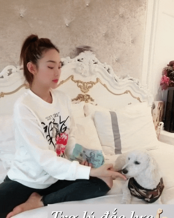 Clip hot nhất mạng xã hội hôm nay: Minh Hằng công khai trợ lý đếm tiền là một... con chó-2