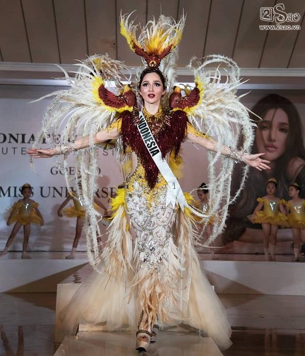 Quốc phục Bánh Mì của HHen Niê liệu đã đủ đẹp và độc khi đặt cạnh loạt trang phục quá xuất sắc tại Miss Universe 2018?-3