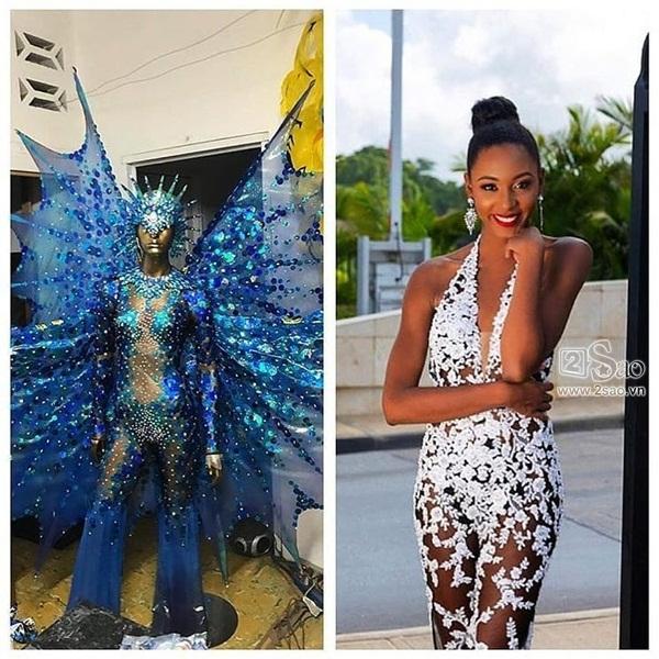 Quốc phục Bánh Mì của HHen Niê liệu đã đủ đẹp và độc khi đặt cạnh loạt trang phục quá xuất sắc tại Miss Universe 2018?-17
