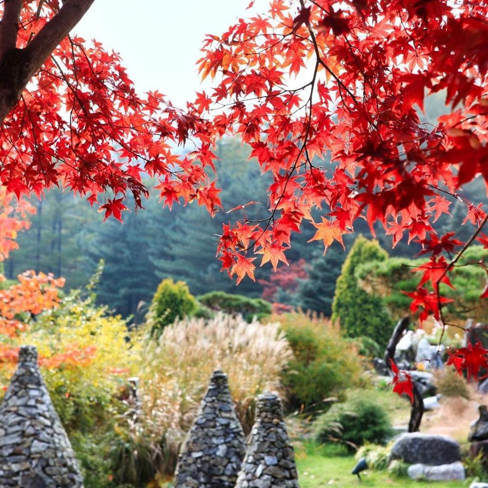 Khám phá thiên đường du lịch nổi tiếng qua phim ảnh ở Hàn Quốc-8