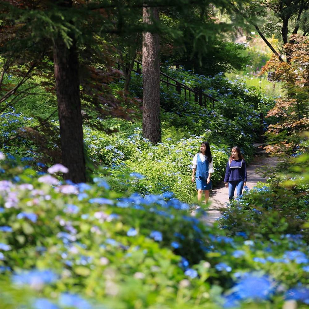 Khám phá thiên đường du lịch nổi tiếng qua phim ảnh ở Hàn Quốc-9