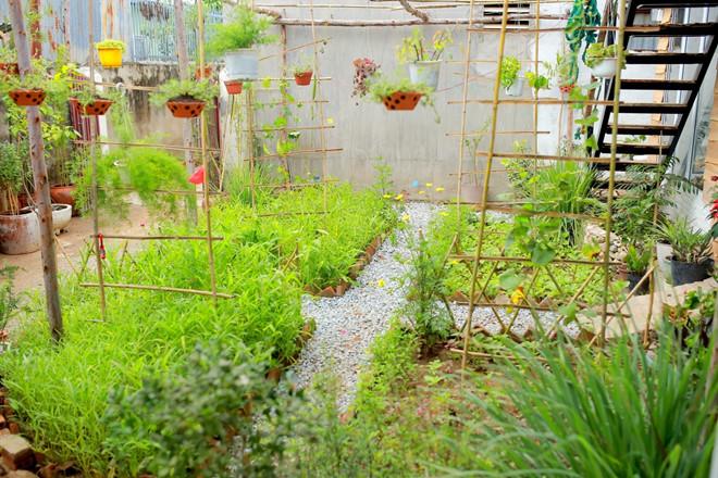 Homestay mới cho giới trẻ ở Ninh Thuận-6