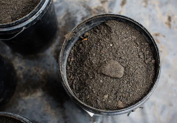 Lẳng lặng đặt thứ này vào ví, cuối năm tiền vào như thác đổ-3