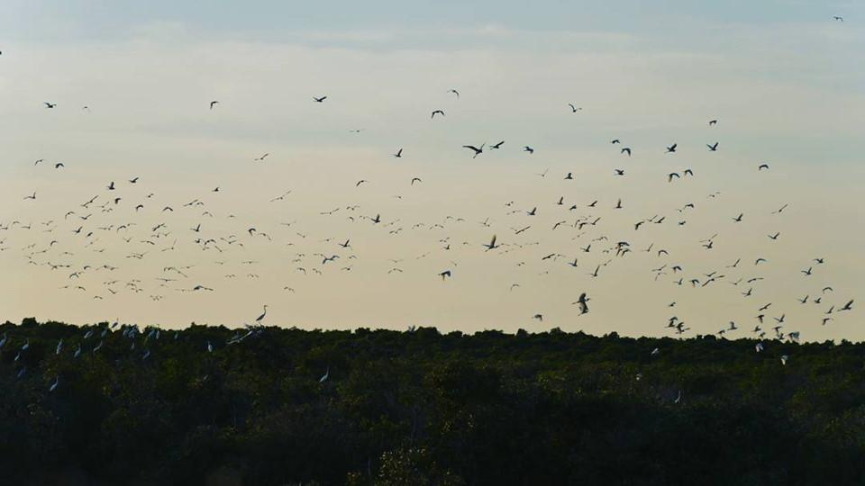 Thăm miền Tây dịp Tết Dương lịch, đi mãi chẳng hết chỗ chơi-6