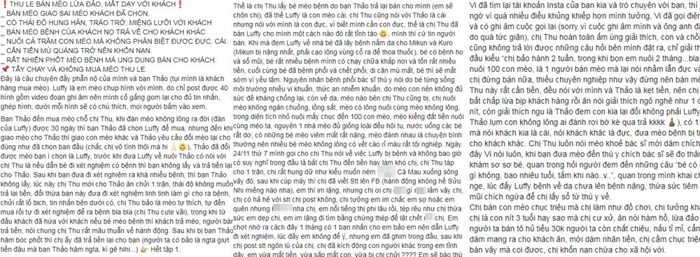 Bị bà chủ bán mèo dằn hắt quá khứ thị phi, Thúy Vi: Tôi tạo scandal ra tiền chứ như chị chỉ húp cháo ăn dài-2