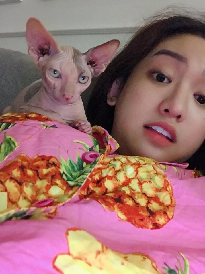 Bị bà chủ bán mèo dằn hắt quá khứ thị phi, Thúy Vi: Tôi tạo scandal ra tiền chứ như chị chỉ húp cháo ăn dài-4