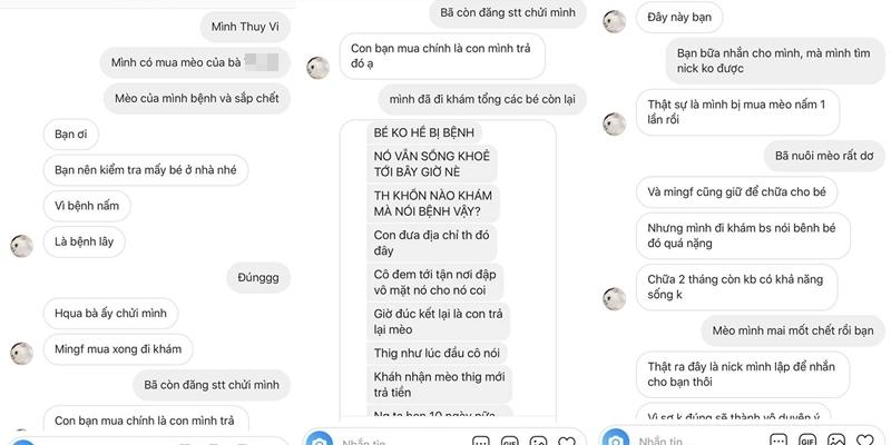 Bị bà chủ bán mèo dằn hắt quá khứ thị phi, Thúy Vi: Tôi tạo scandal ra tiền chứ như chị chỉ húp cháo ăn dài-3