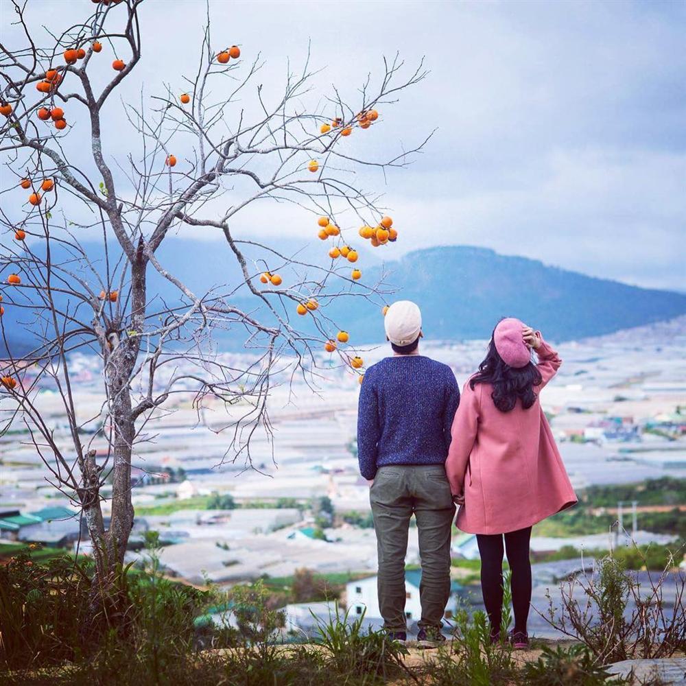 Tuyệt tình cốc đóng cửa, đừng lo vì Đà Lạt còn rất nhiều điểm check-in-3