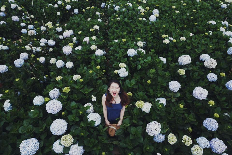 Tuyệt tình cốc đóng cửa, đừng lo vì Đà Lạt còn rất nhiều điểm check-in-5