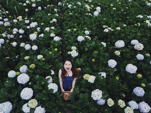 Lại có thêm một cây cầu tình yêu màu tím làm lịm tim biết bao du khách ở Đà Lạt-8