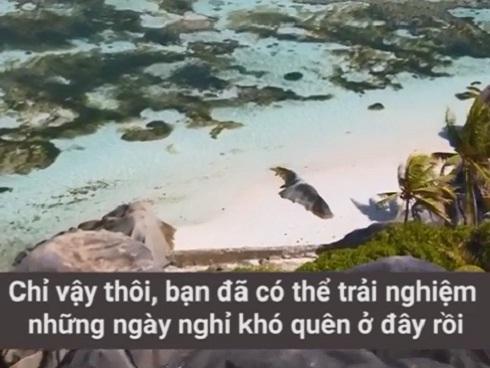 Lạc đà xuất hiện trên phố đi bộ hồ Gươm-12