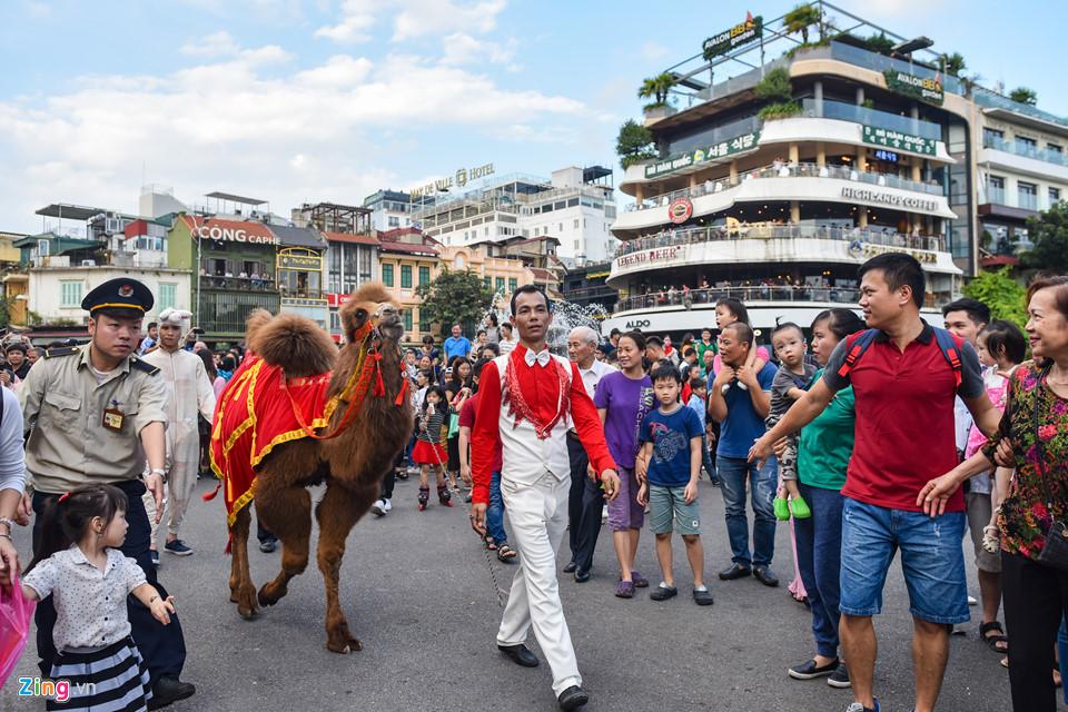 Lạc đà xuất hiện trên phố đi bộ hồ Gươm-3