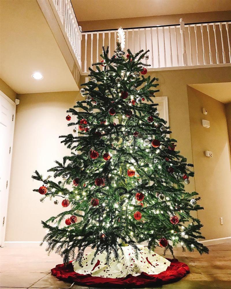 Phạm Hương hào hứng đón Noel ở Mỹ, fan khẩn thiết gọi: Chị Tổng ơi về Việt Nam đi-2