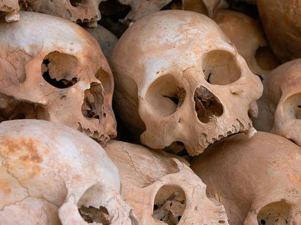 Triệt phá đường dây buôn lậu qua biên giới đặc biệt lớn, thu giữ 500 tấn hàng hoá-2