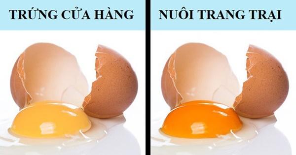 Chỉ cần nắm trong tay bí quyết này, bạn có thể dễ dàng kiểm tra thực phẩm mình đang ăn có SẠCH hay không-2