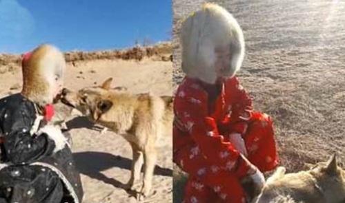 Cô gái trẻ dọa bạn trai chạy mất dép vì nuôi sói-1
