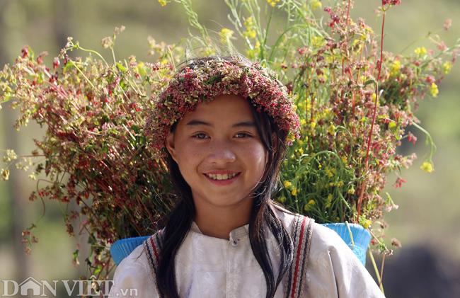 Ảnh: Mê mẩn những đồi hoa tam giác mạch ở Hà Giang-5