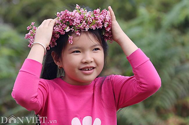 Ảnh: Mê mẩn những đồi hoa tam giác mạch ở Hà Giang-12