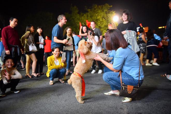 Cổ động viên tràn ra đường mừng Việt Nam vào chung kết-4