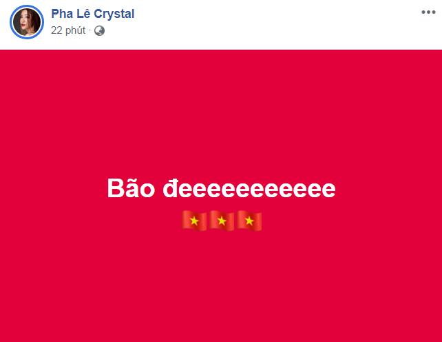 Dàn sao hot nhất Vbiz tưng bừng ăn mừng chiến thắng của tuyển Việt Nam tại bán kết AFF Cup 2018-12