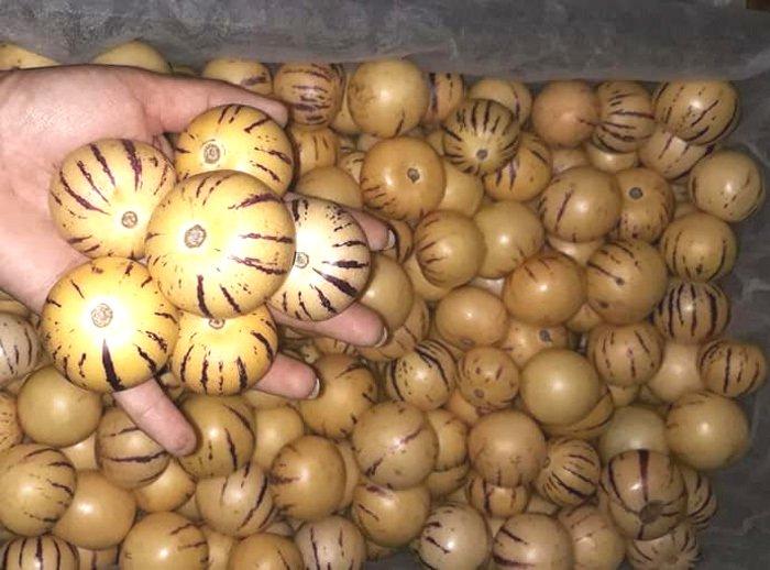 Loại quả lạ Trung Quốc mới về: Quên nỗi sợ hàng Tàu, dân Việt tranh nhau mua-3