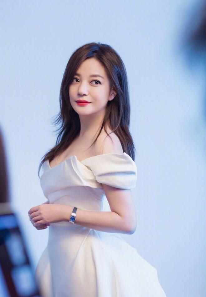 Đài TVB Hong Kong tiết lộ 17 ngôi sao bị truy thu thuế: Bất ngờ Dương Mịch, Triệu Vy và nhiều sao hạng A bị gọi tên-6