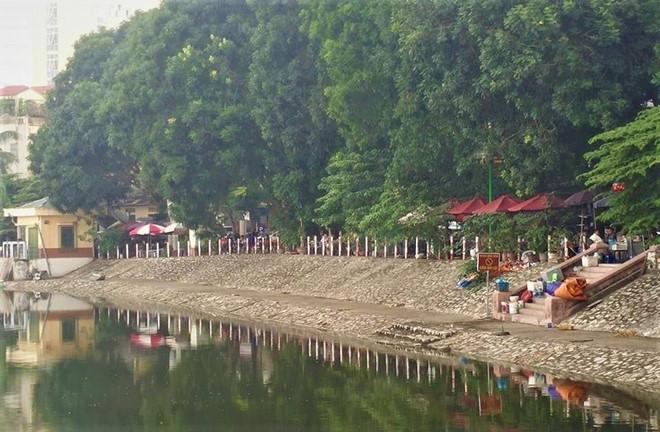 Chó Pitbull cắn, kéo lê người tập thể dục ven hồ-1