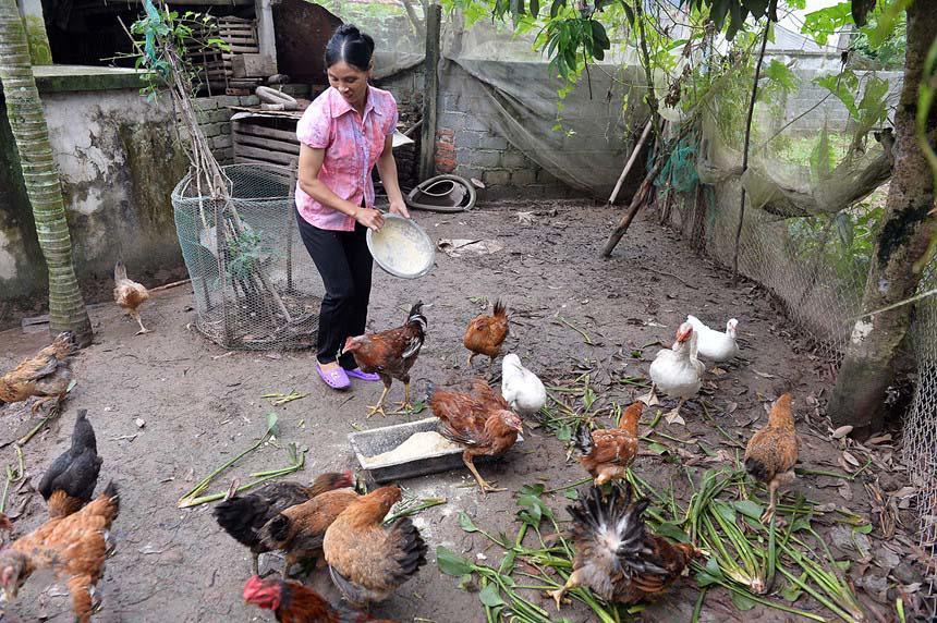 Luôn mặc một chiếc áo giản dị đi cổ vũ con trai ở khắp các đấu trường, mẹ Đoàn Văn Hậu khiến fan đau đầu đoán nguyên nhân-5