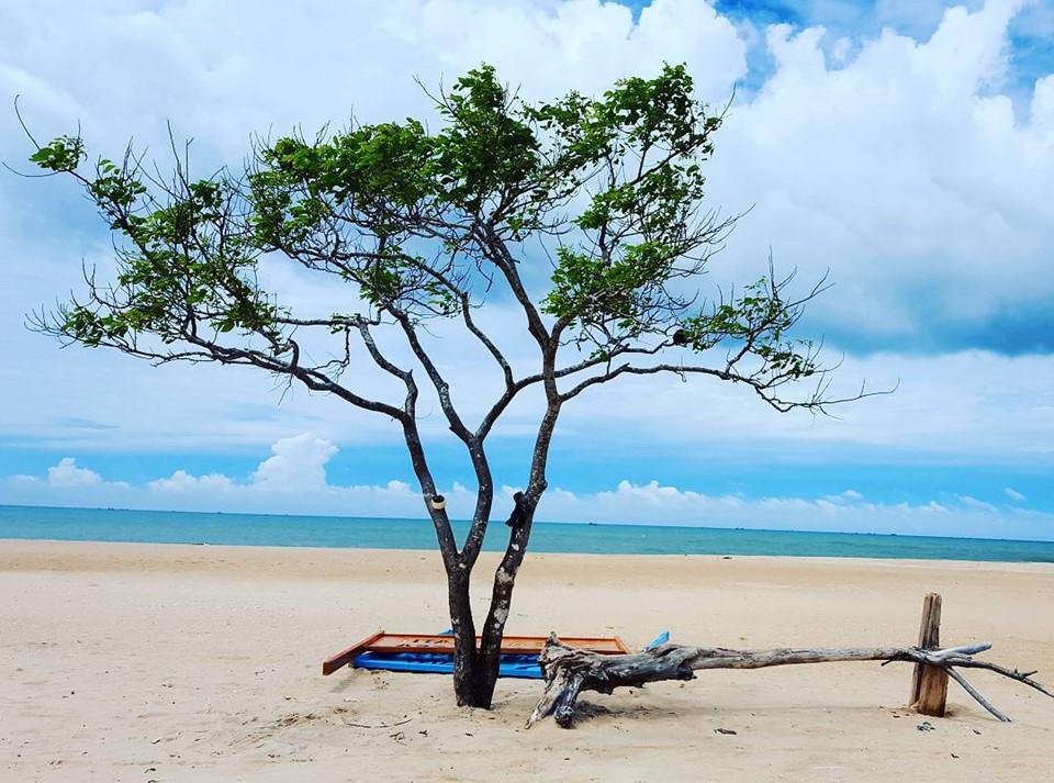 10 cây cô đơn sống ảo giới trẻ Việt Nam thường xuyên check-in-11