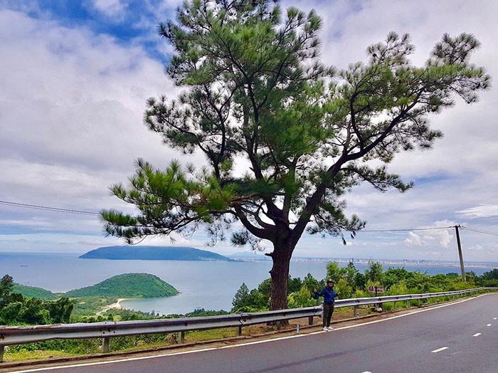 10 cây cô đơn sống ảo giới trẻ Việt Nam thường xuyên check-in-12