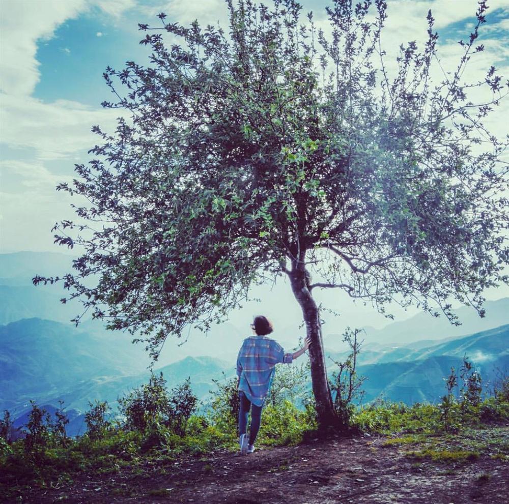 10 cây cô đơn sống ảo giới trẻ Việt Nam thường xuyên check-in-6